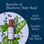 Blueberry Holy Basil